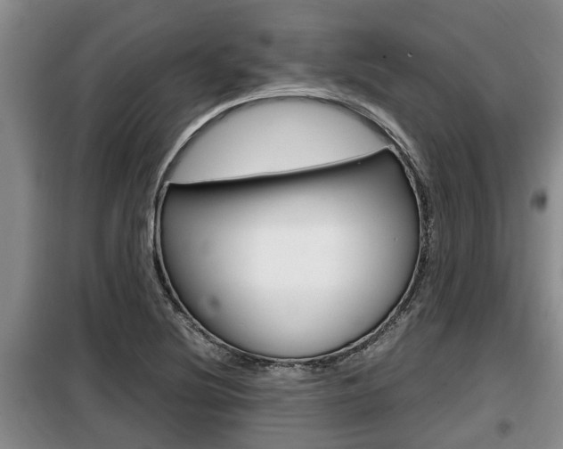 X0000099411220200805090719