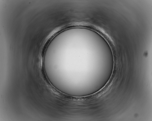 X0000099411221200805090719