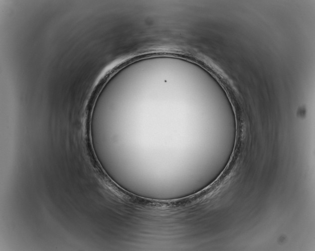 X0000099411222200805090719
