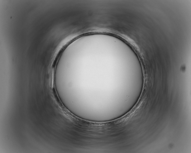 X0000099411223200805090719