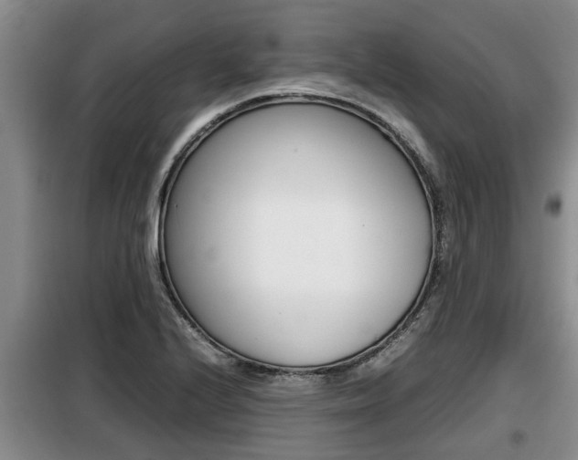 X0000099411224200805090719
