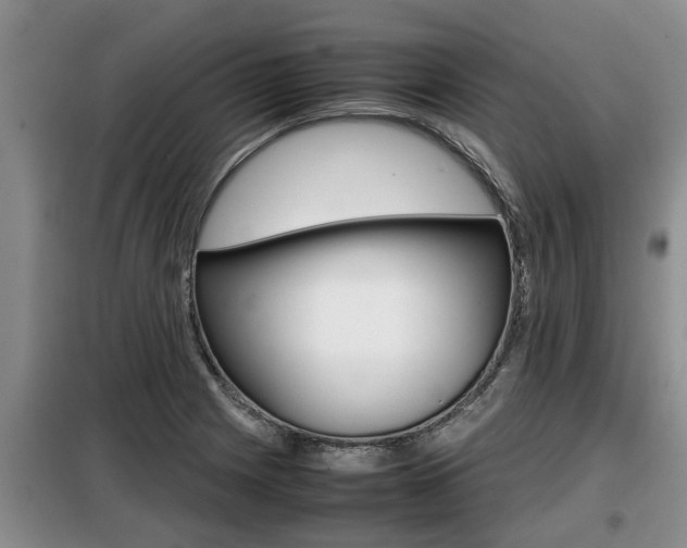 X0000099411225200805090719