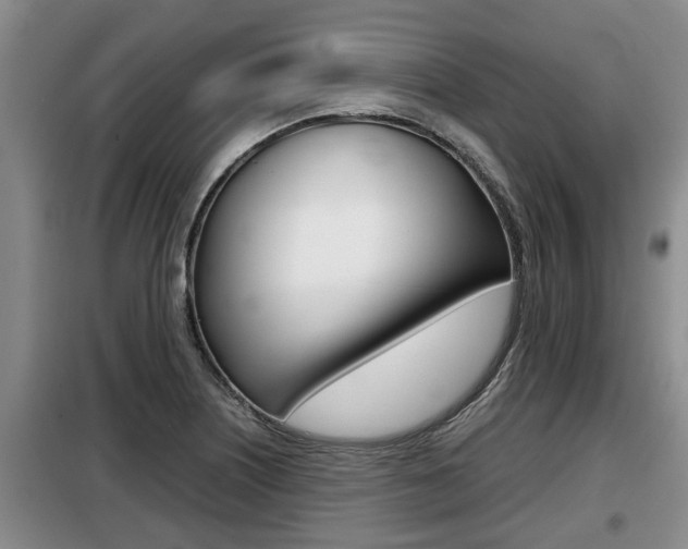 X0000099411226200805090719