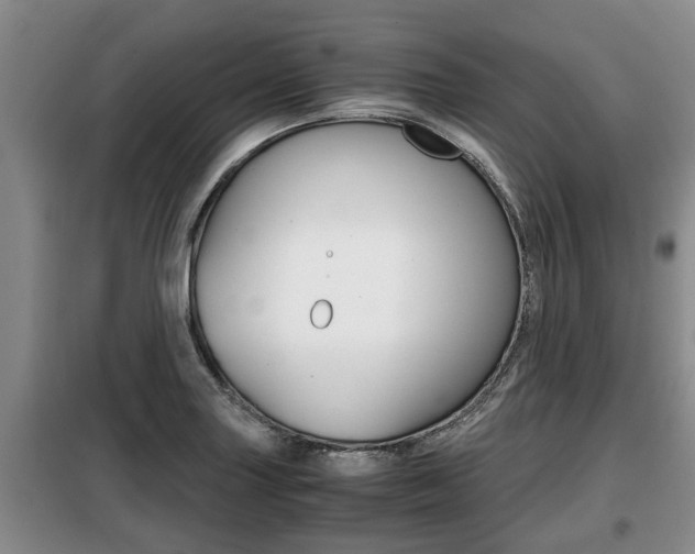 X0000099411227200805090719