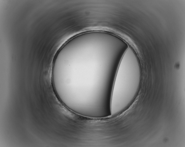 X0000099411228200805090719