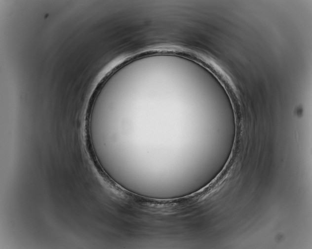 X0000099411229200805090719