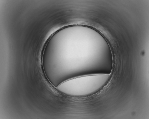 X0000099411230200805090719