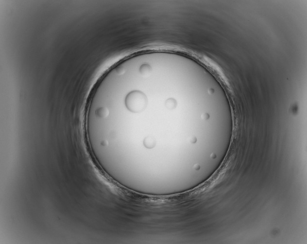 X0000099411231200805090719