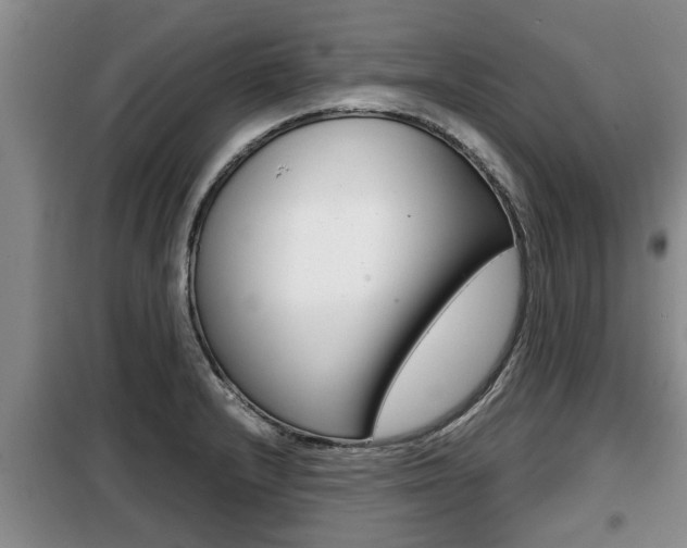 X0000099411232200805090719