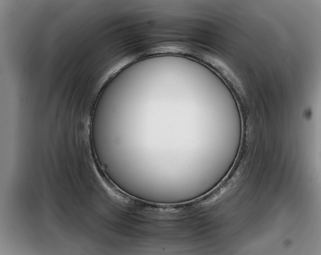 X0000099411233200805090719