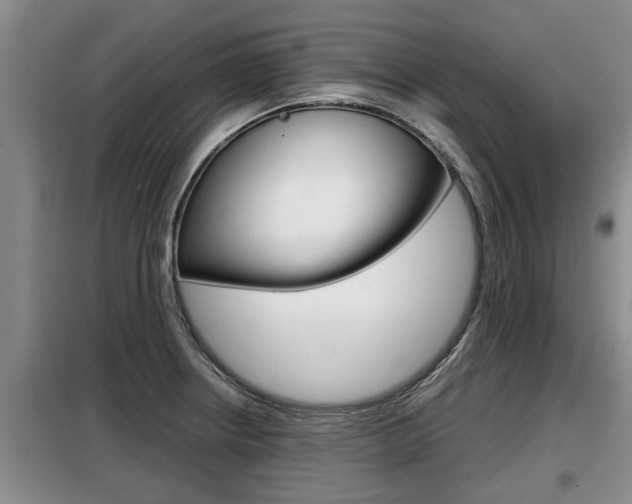X0000099411234200805090719