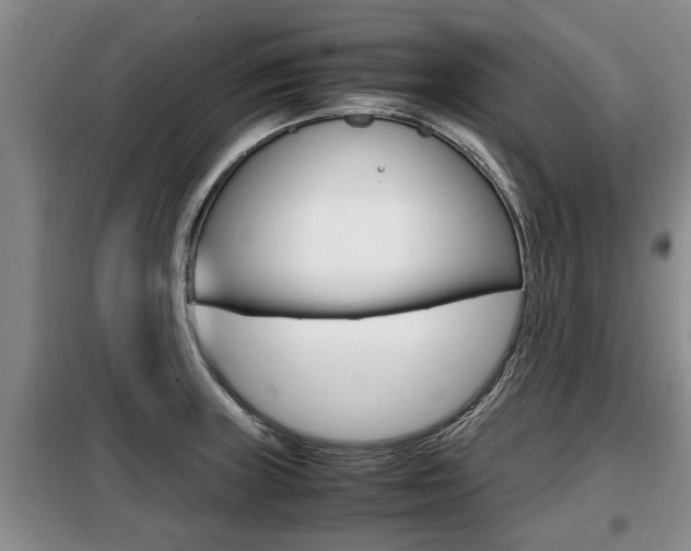 X0000099411235200805090719