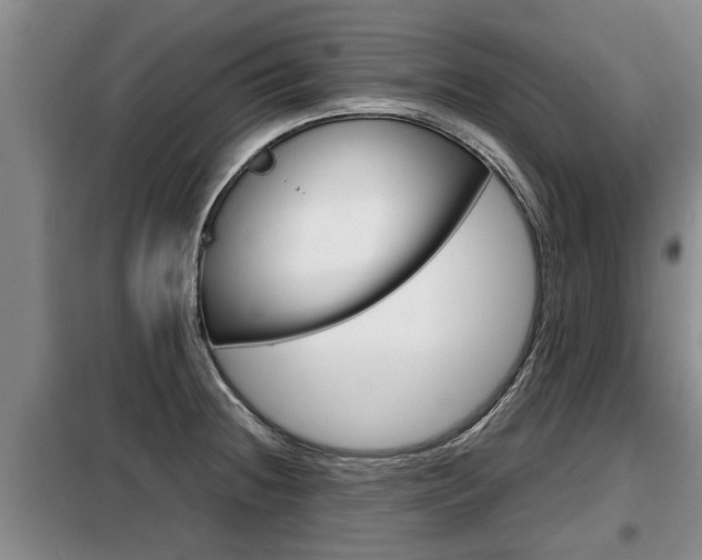 X0000099411236200805090719