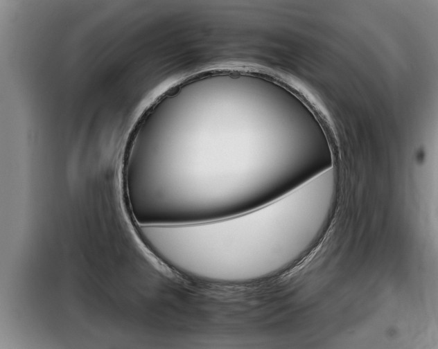 X0000099411237200805090719