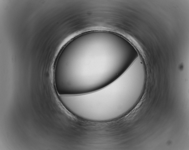 X0000099411238200805090719