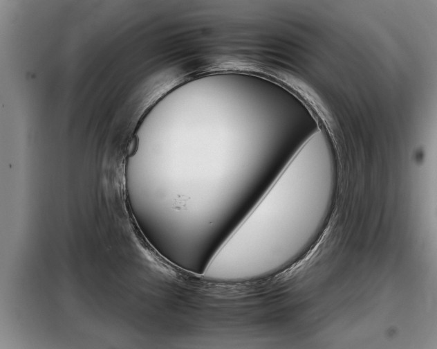 X0000099411241200805090720