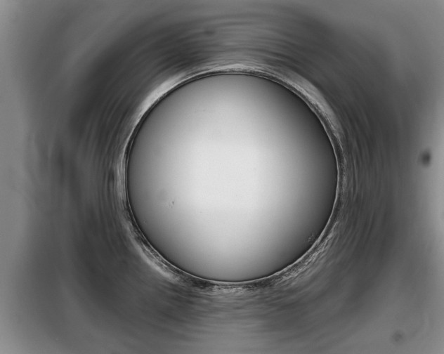 X0000099411242200805090720