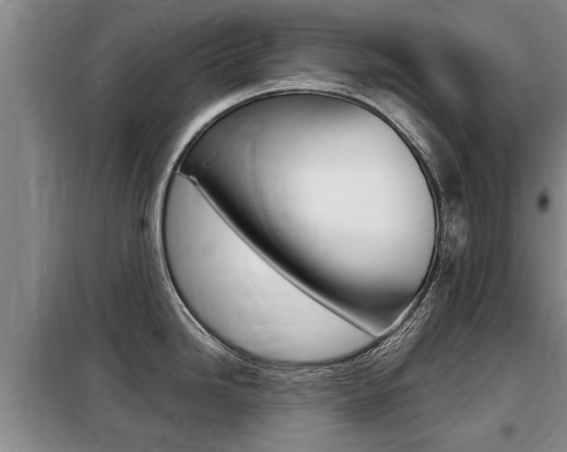 X0000099411246200805090720