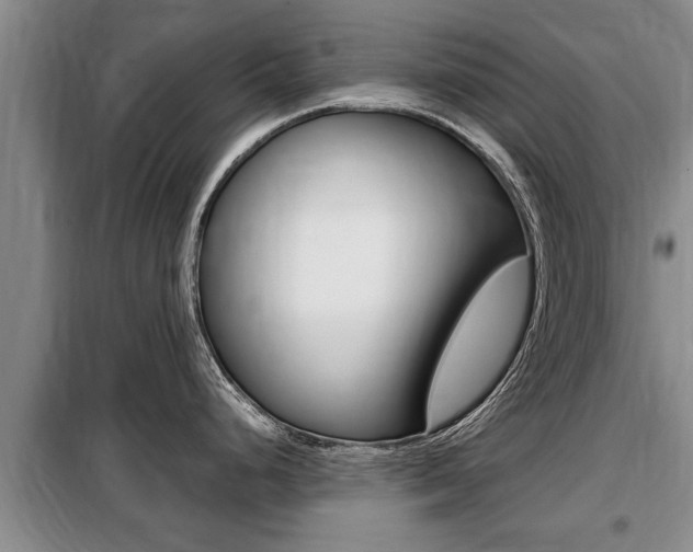 X0000099411248200805090720