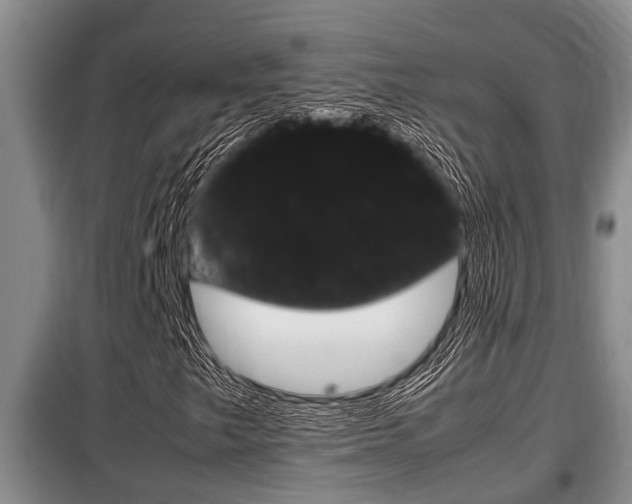 X0000099411249200805090719