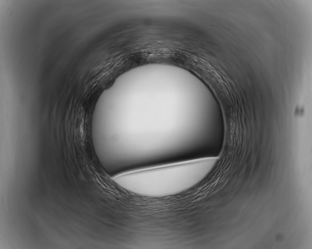 X0000099411250200805090719
