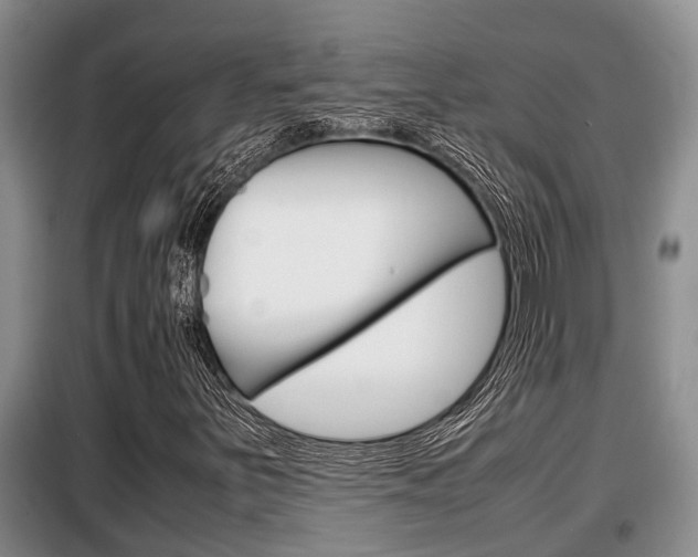 X0000099411251200805090719
