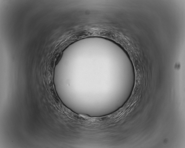 X0000099411253200805090719