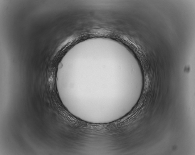 X0000099411254200805090719