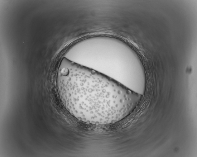 X0000099411255200805090719