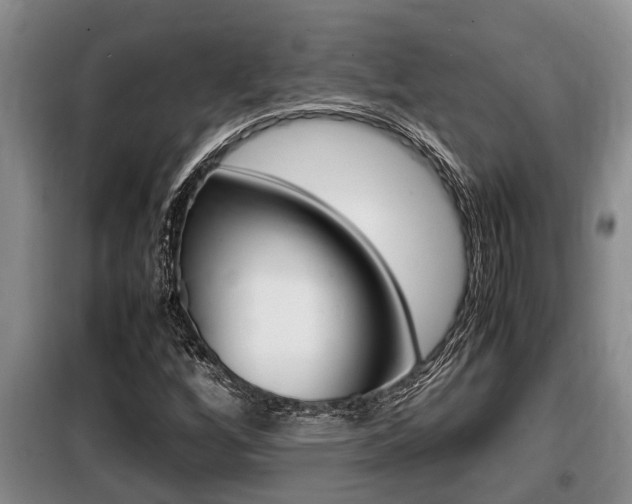 X0000099411256200805090719