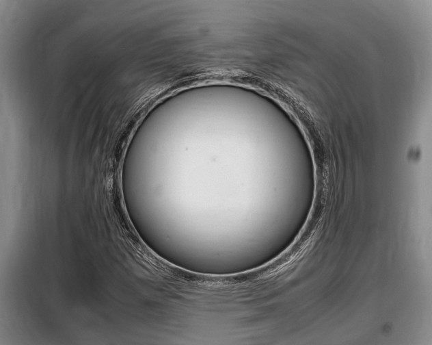 X0000099411257200805090719