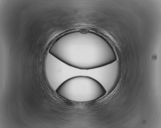 X0000099411259200805090719