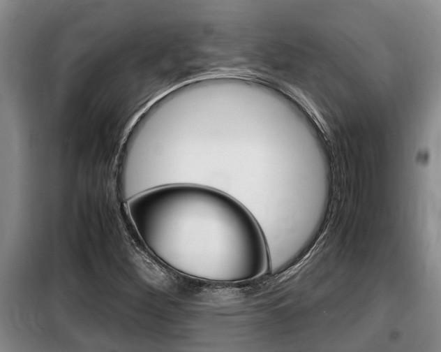 X0000099411260200805090719