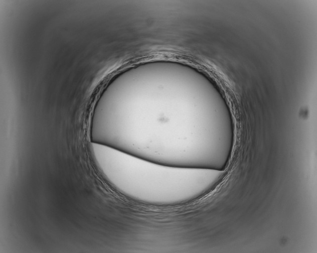 X0000099411261200805090719