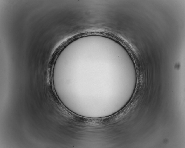 X0000099411262200805090719