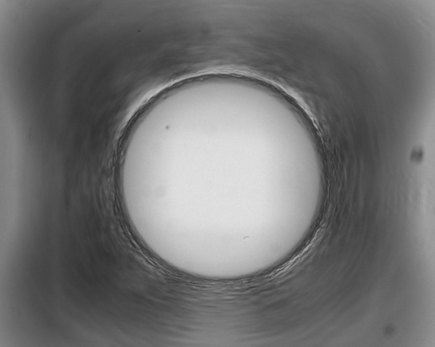 X0000099411263200805090719