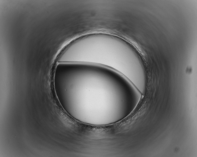 X0000099411264200805090719