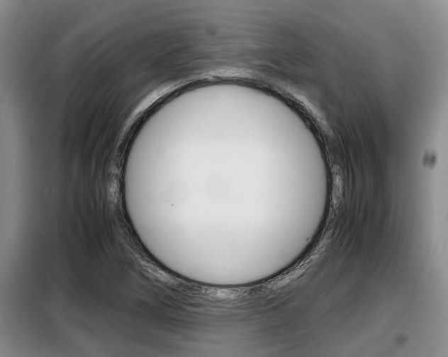 X0000099411266200805090719