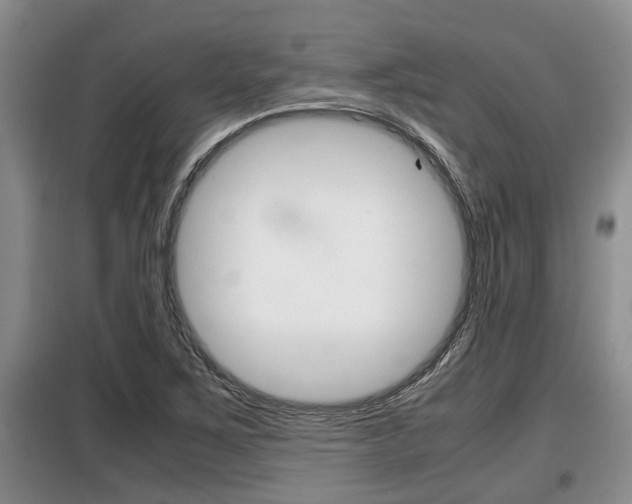 X0000099411267200805090719