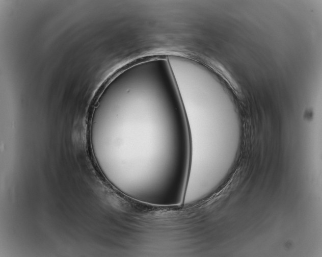 X0000099411268200805090719
