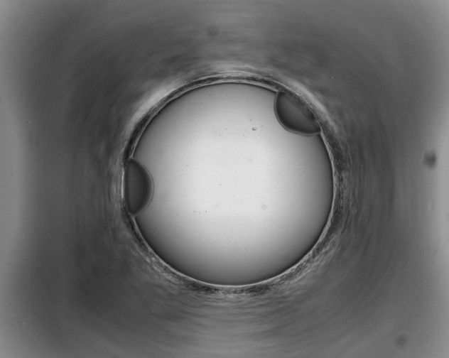 X0000099411269200805090719