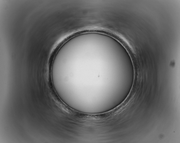 X0000099411270200805090719