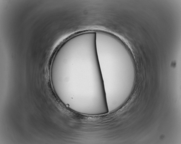 X0000099411271200805090719