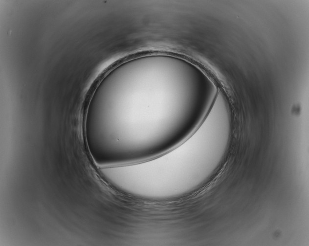 X0000099411272200805090719