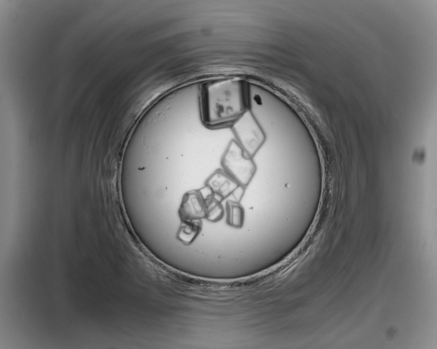 X0000099411273200805090719