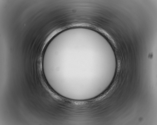 X0000099411274200805090719