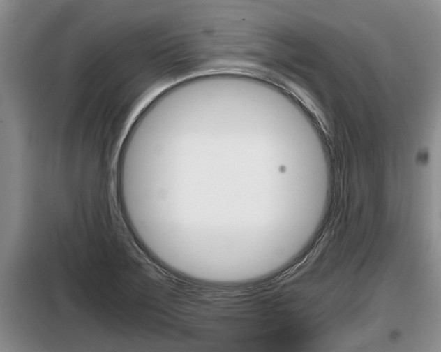 X0000099411275200805090718