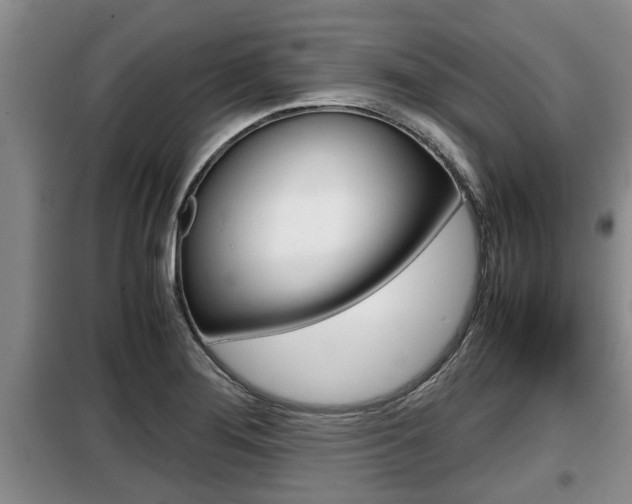 X0000099411276200805090718
