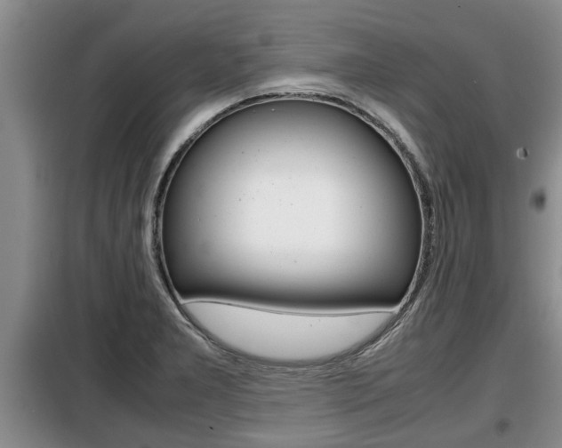 X0000099411277200805090718