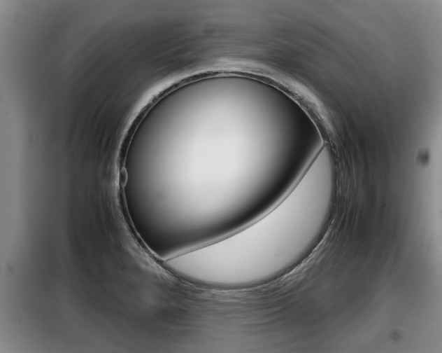 X0000099411280200805090718